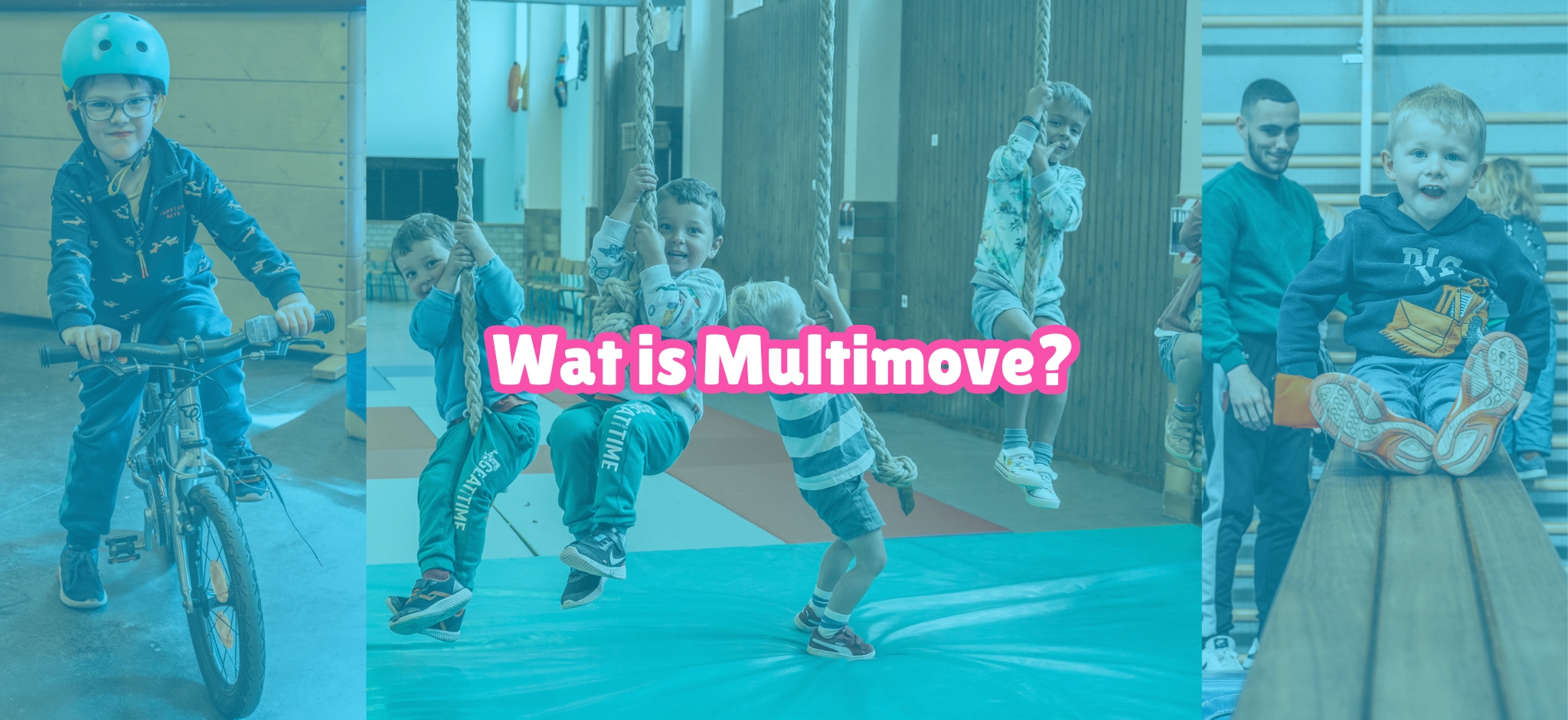 Wat is Multimove?